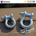 Factory Price Carbon Steel Anchor Shackles